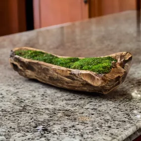 Carved Wooden Bowl Centerpiece with Lush Moss