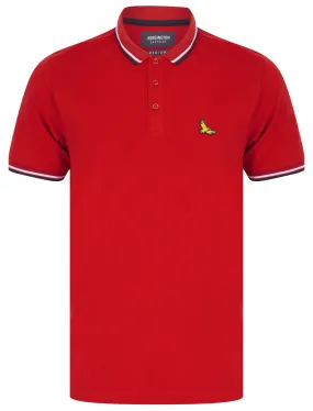 Jerry Cotton Pique Polo Shirt with Tipping in Scooter Red - Kensington Eastside