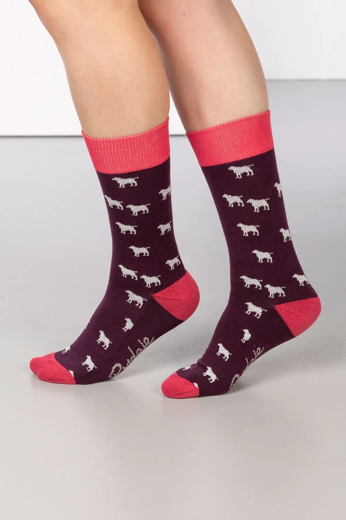 Ladies Wagging Dog Ankle Socks