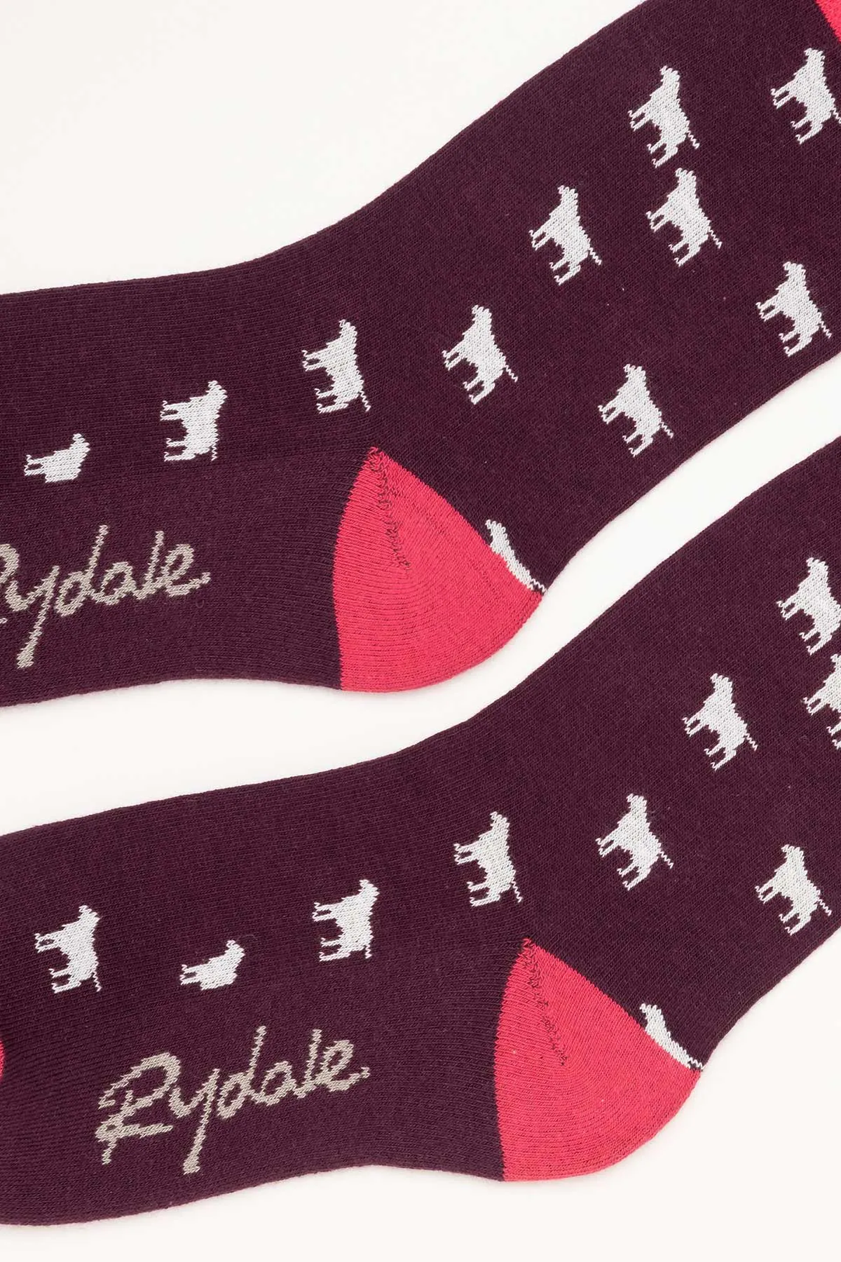 Ladies Wagging Dog Ankle Socks