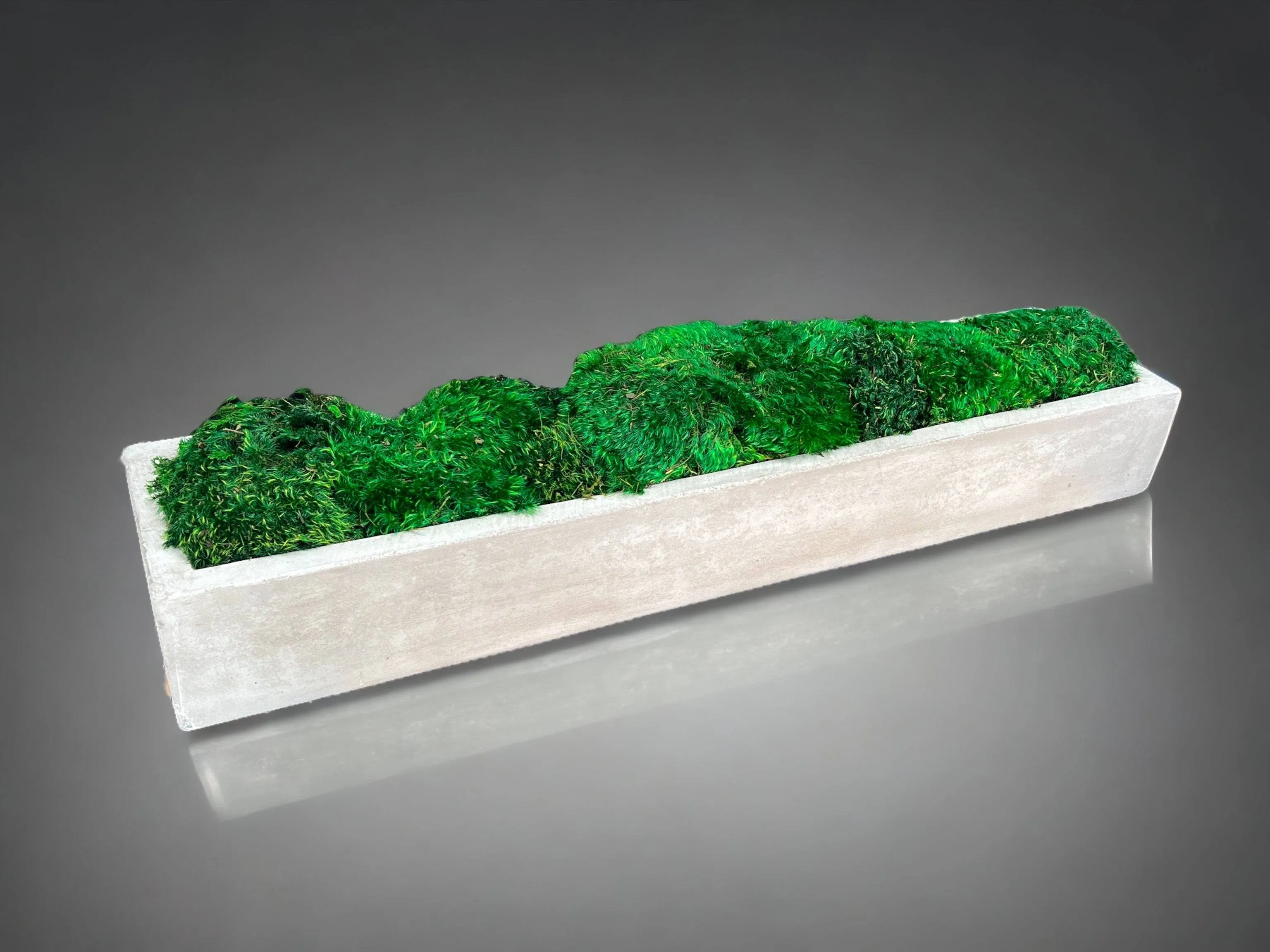 Preserved Moss in Concrete Rectangular Centerpiece